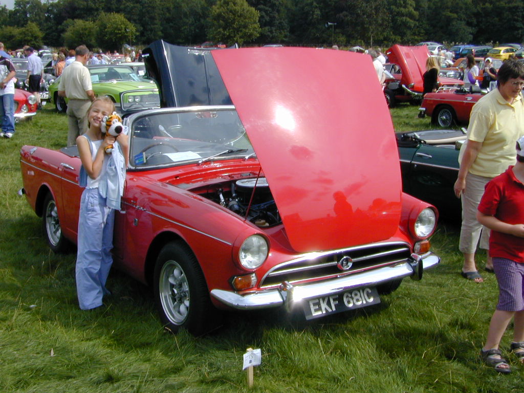 tigerdscn2360.jpg